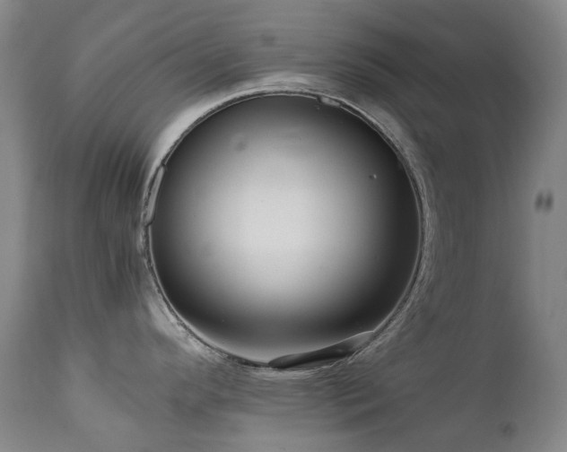 X0000111471296200907131510