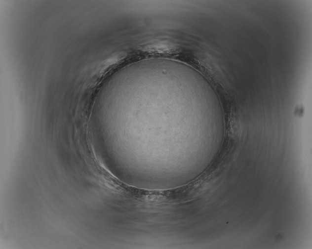 X0000111471297200907131509