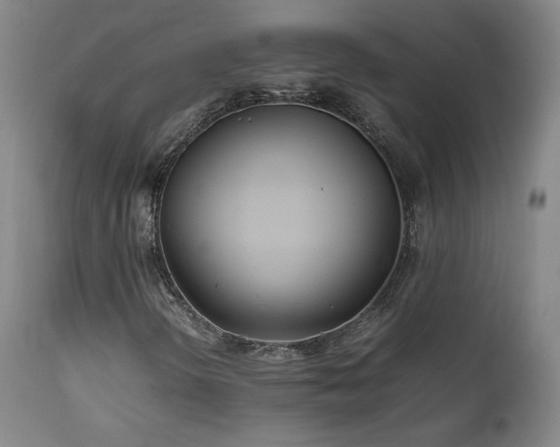 X0000111471298200907131509