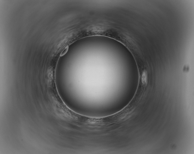 X0000111471299200907131509