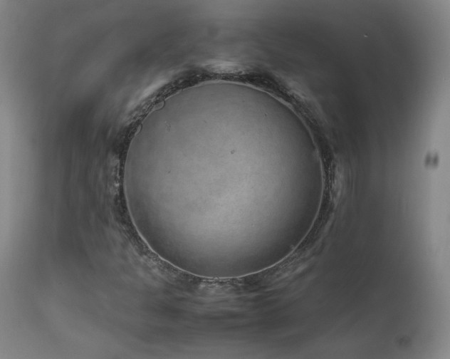 X0000111471301200907131509