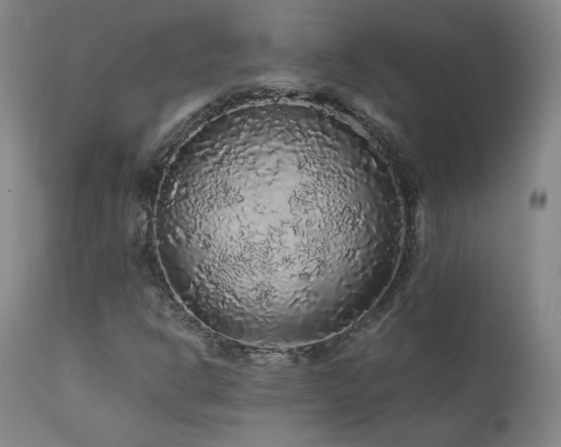 X0000111471302200907131509