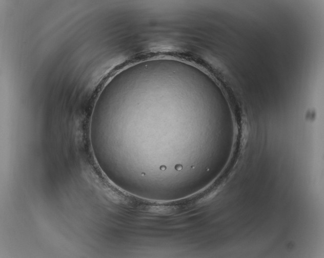 X0000111471305200907131509