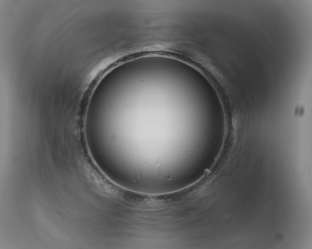 X0000111471308200907131509