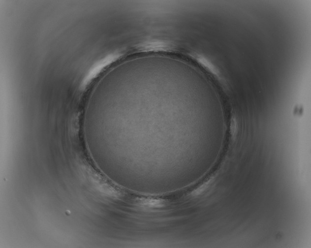 X0000111471309200907131509