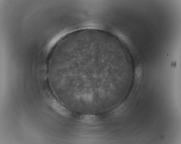X0000111471310200907131509