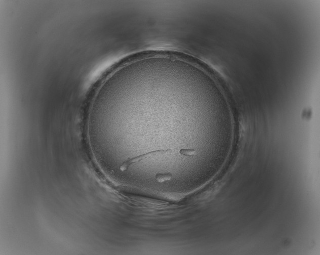 X0000111471311200907131509