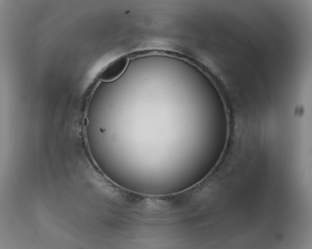 X0000111471312200907131509