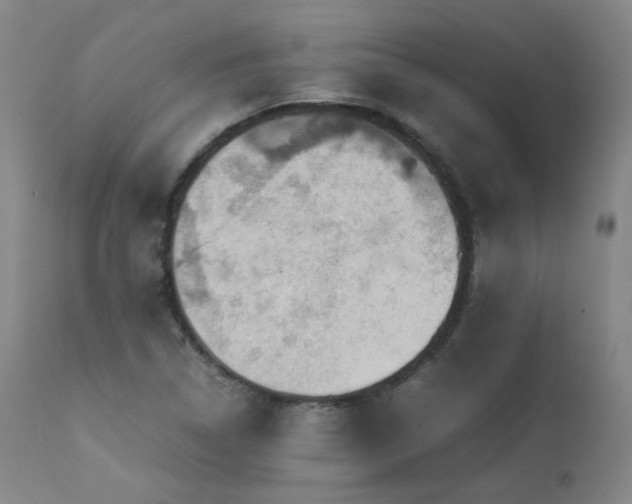 X0000111471314200907131509