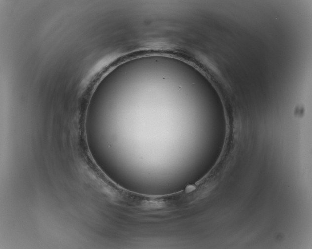 X0000111471315200907131509