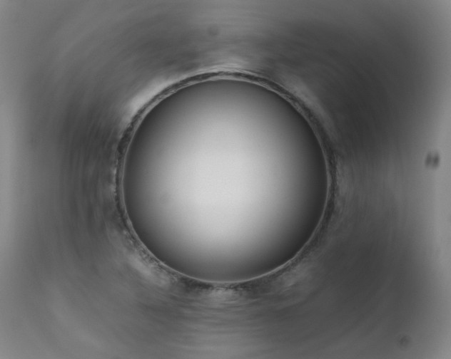X0000111471316200907131509
