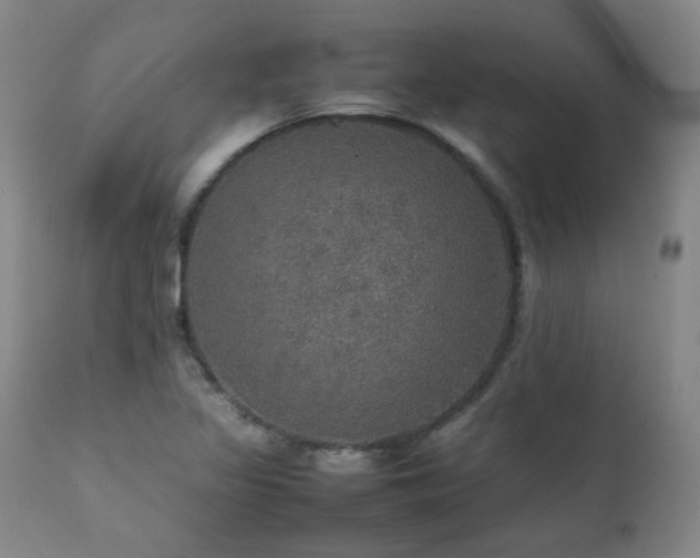 X0000111471317200907131509