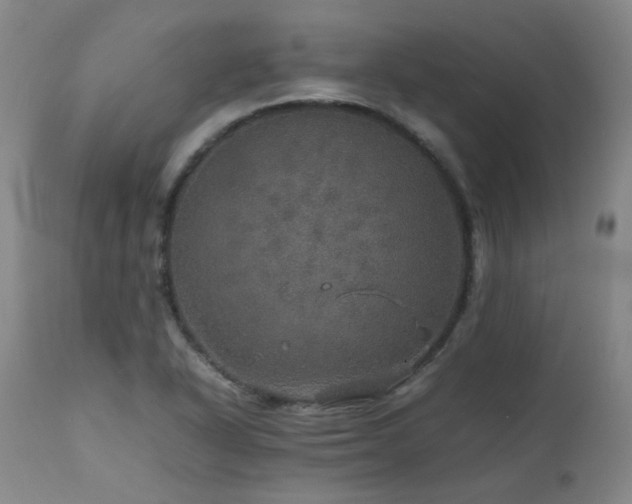 X0000111471318200907131509