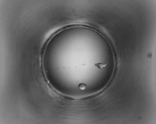 X0000111471320200907131509