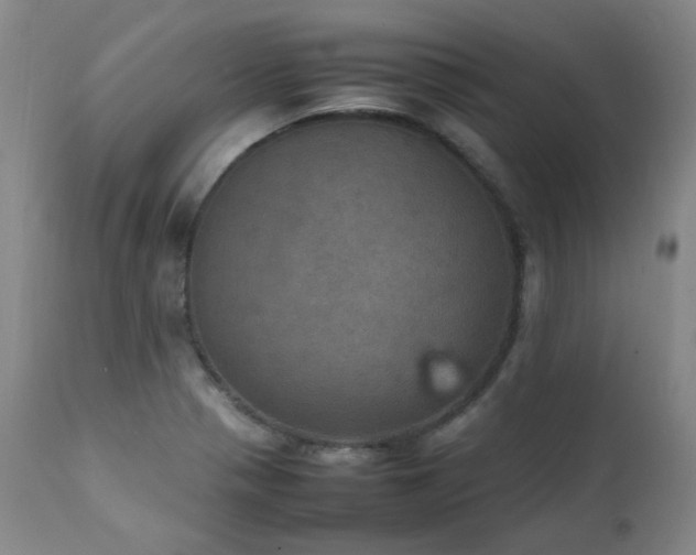 X0000111471321200907131509