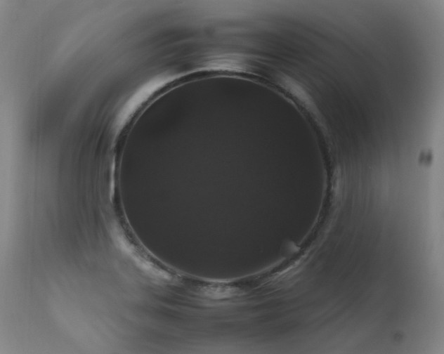 X0000111471323200907131509