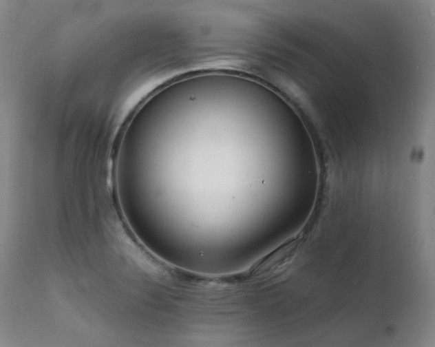 X0000111471324200907131509