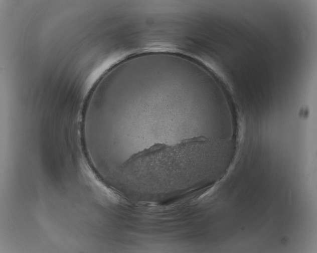 X0000111471325200907131509