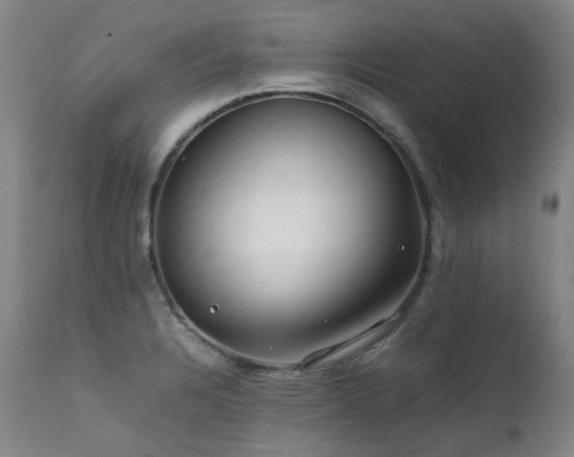 X0000111471328200907131509