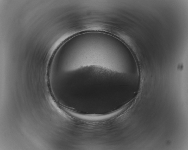 X0000111471331200907131509