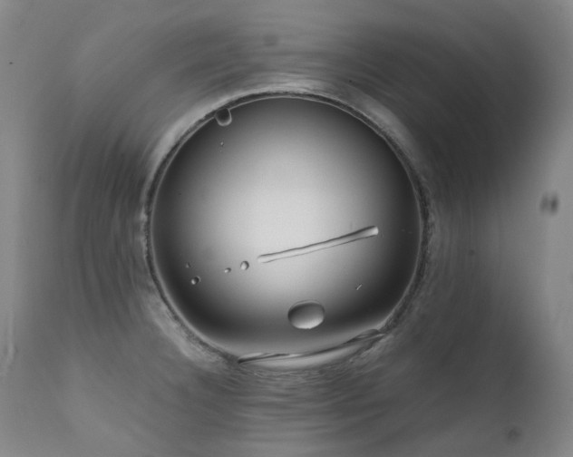 X0000111471332200907131509