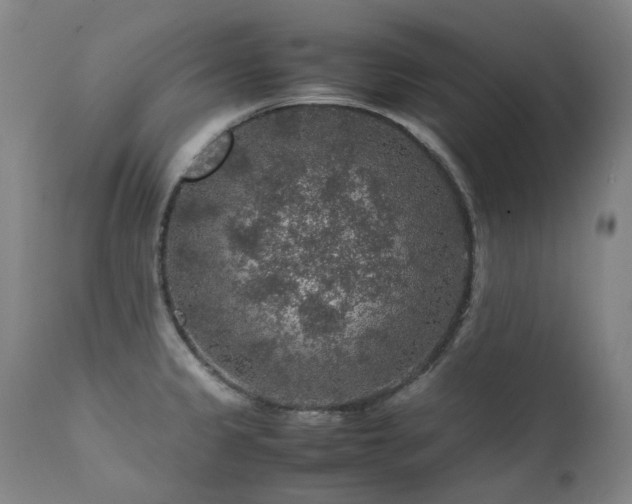 X0000111471333200907131509