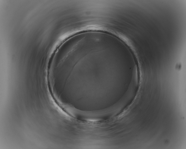 X0000111471334200907131509