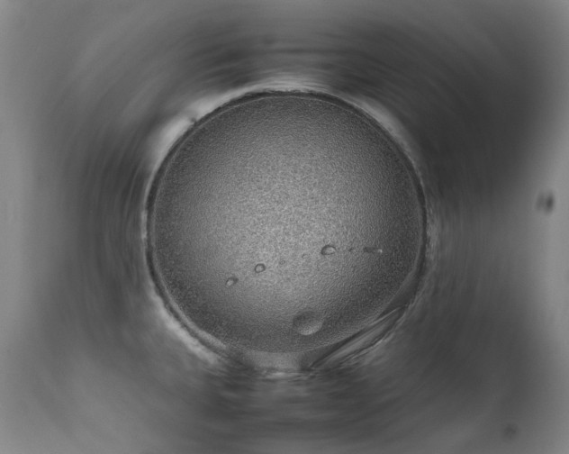 X0000111471335200907131509