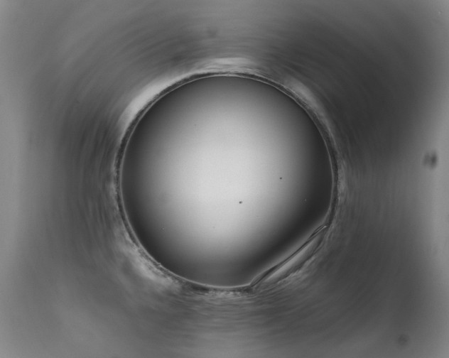 X0000111471336200907131509