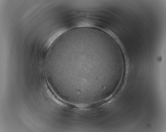 X0000111471337200907131509