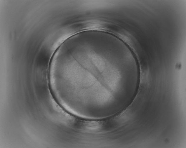 X0000111471338200907131509