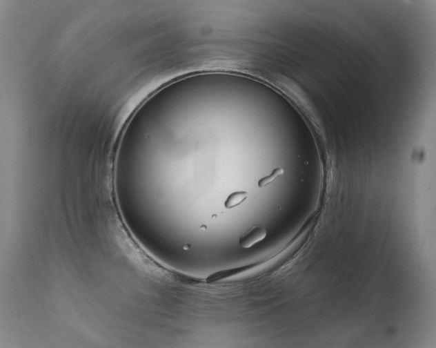 X0000111471340200907131509