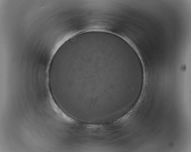 X0000111471341200907131509