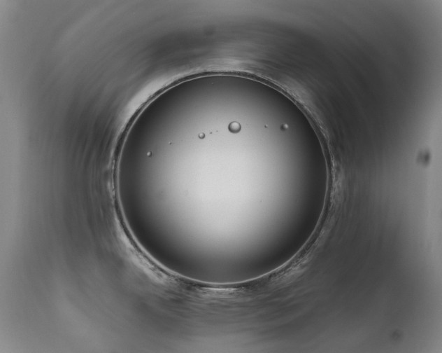 X0000111471342200907131509