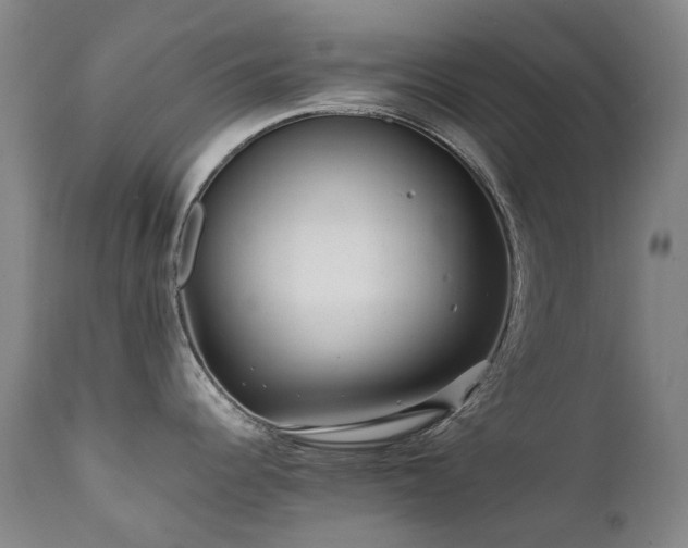 X0000111471344200907131510