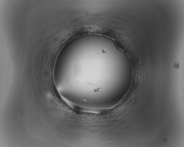 X0000111471345200907131509