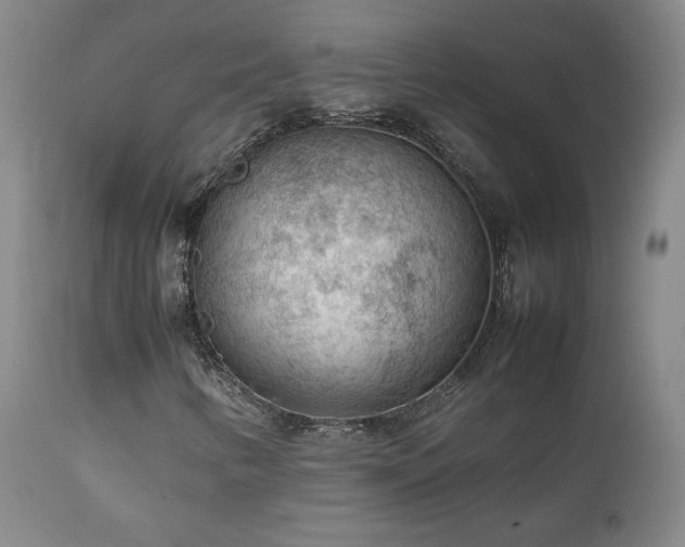 X0000111471346200907131509