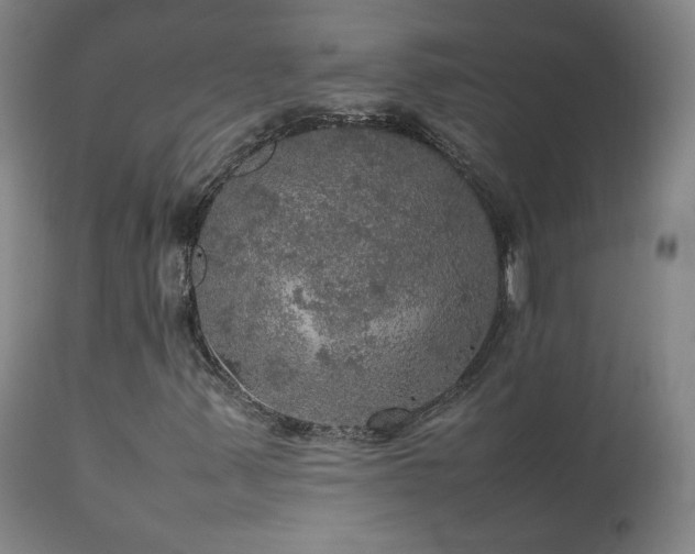 X0000111471347200907131509
