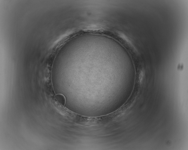 X0000111471350200907131509
