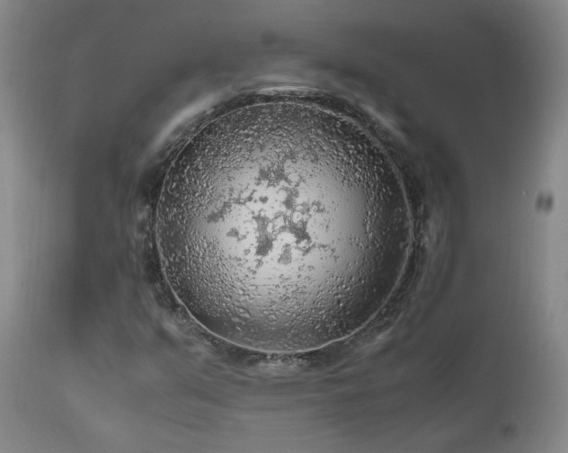 X0000111471351200907131509