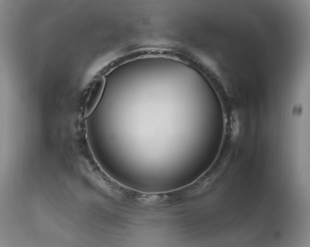 X0000111471352200907131509