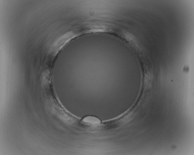 X0000111471353200907131509