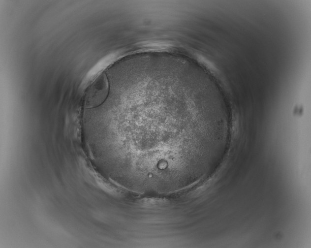 X0000111471354200907131509
