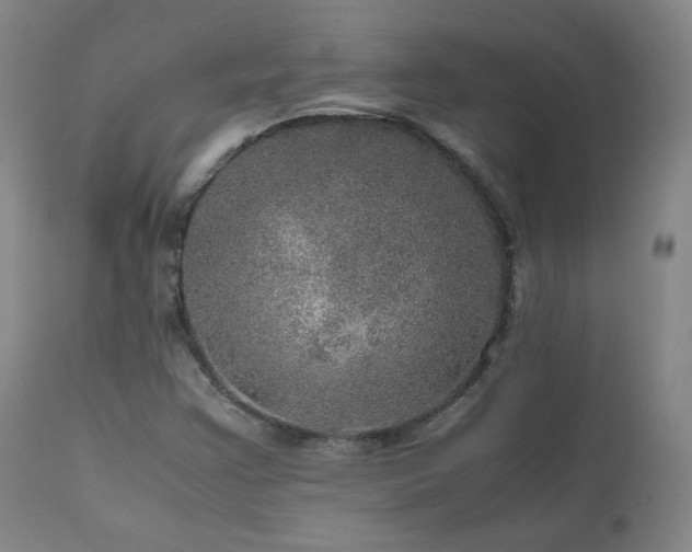 X0000111471355200907131509