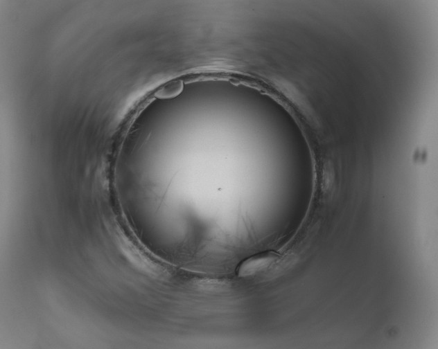 X0000111471356200907131509
