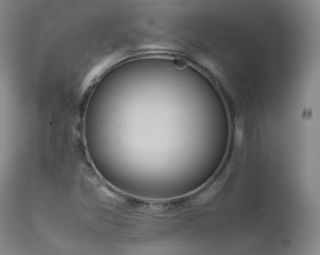 X0000111471357200907131509