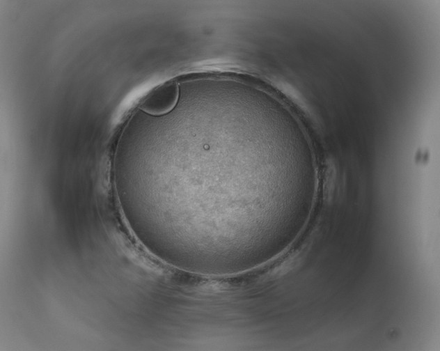 X0000111471358200907131509