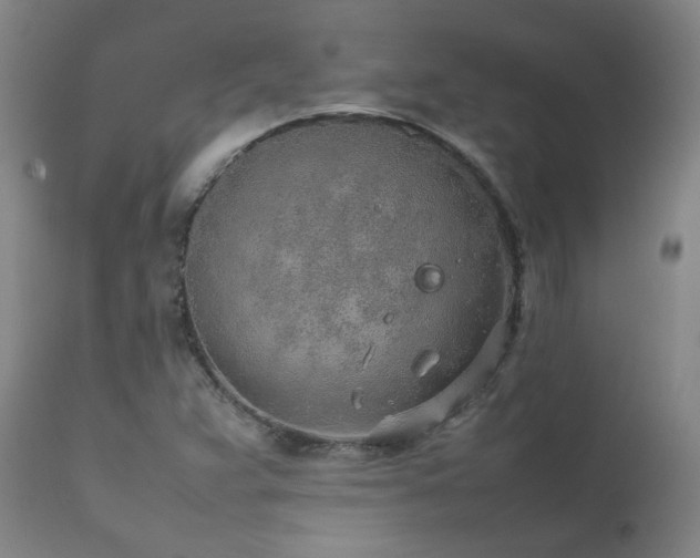 X0000111471359200907131509