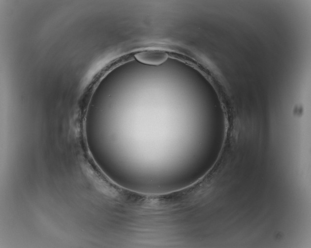 X0000111471360200907131509