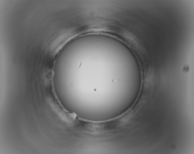 X0000111471361200907131509